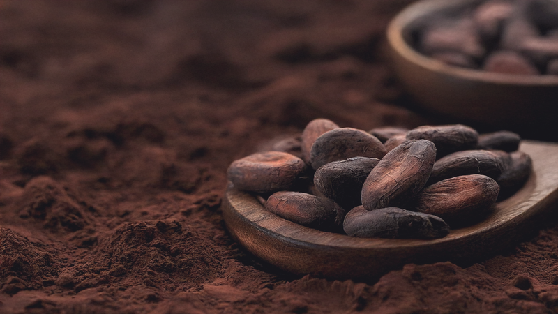 Cocoa Bean Extract (Theobroma cacao L.)