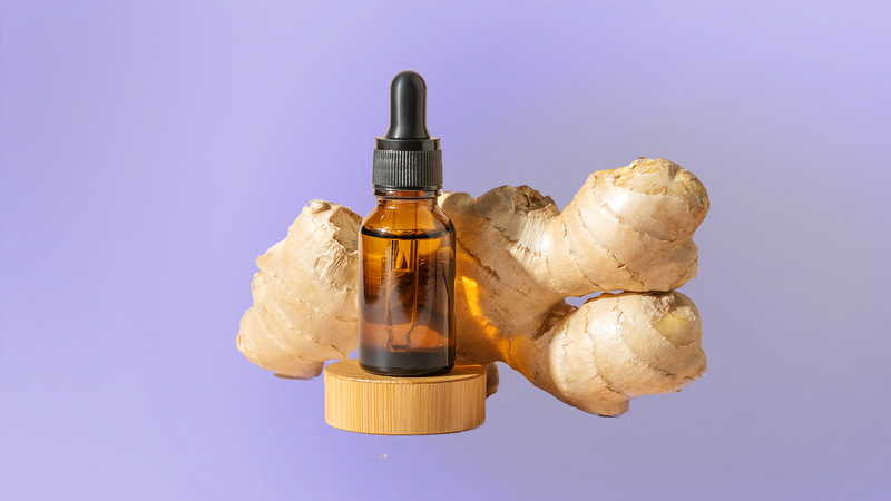 Ginger Root Extract (Zingiber officinale, 20:1)