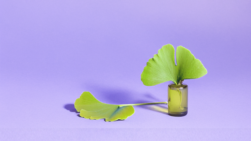 Ginkgo Biloba Extract (50:1)