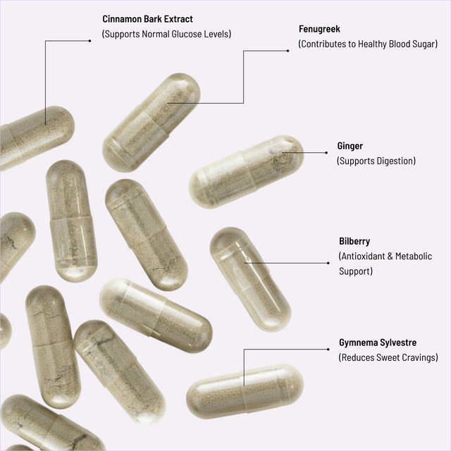 Sugar Level Support complex - 60 capsules