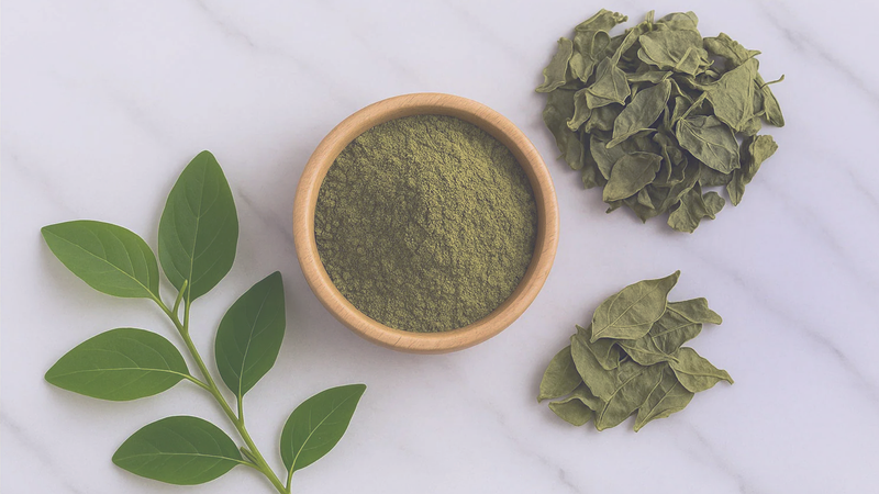 Gymnema Sylvestre Leaf Extract (standardized to 25% Gymnemic Acid)