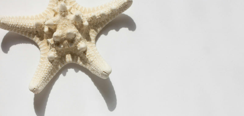 Hydrolyzed marine collagen (fish)